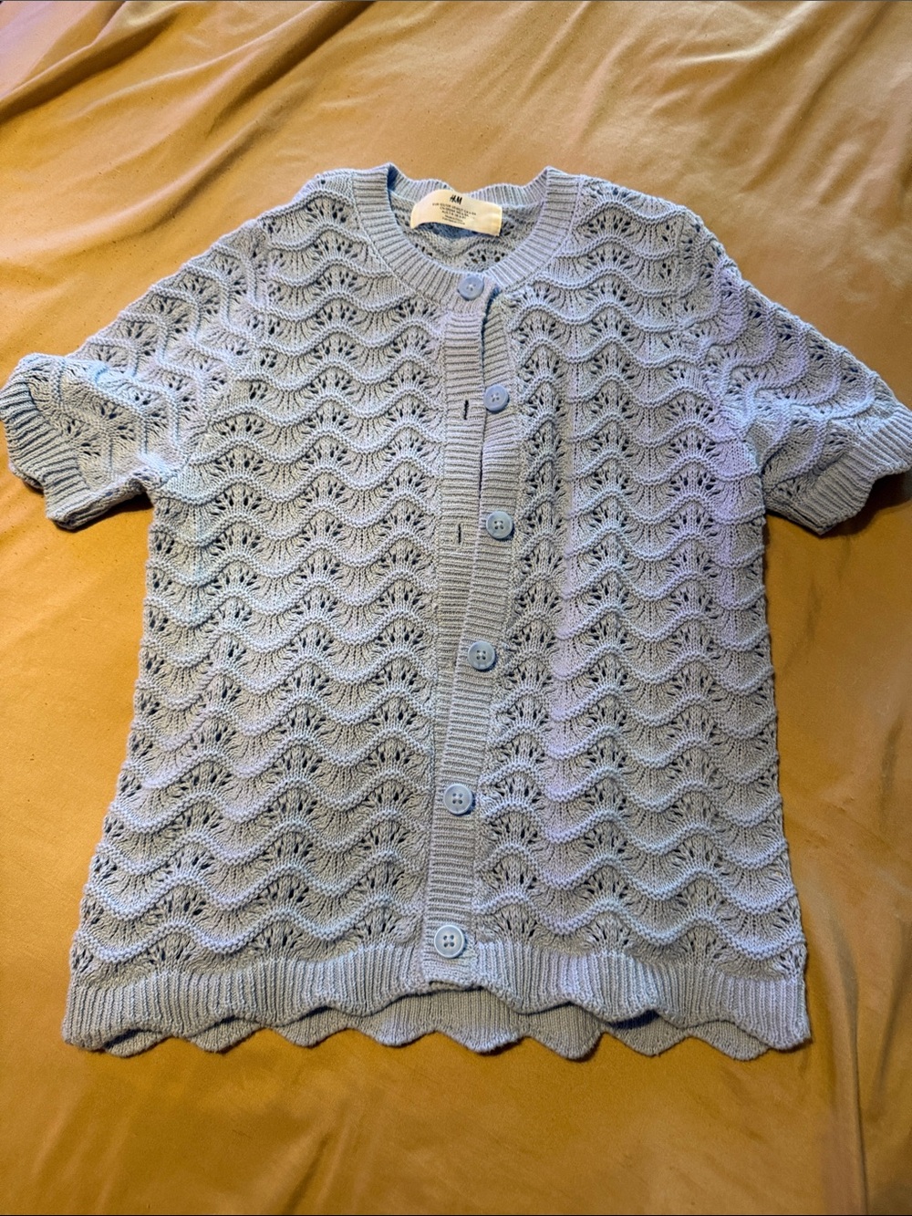 H&M Light Blue Short-Sleeve Knit Cardigan
